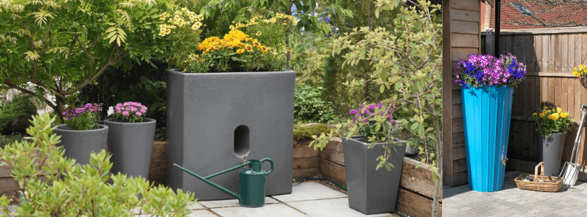 water butt planter selection with colorful flowers in various pots and a watering can