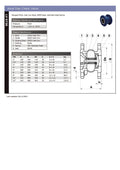 Axial Disc Check Valve PN16 Cast Iron - Flanged specifications and dimensions diagram.