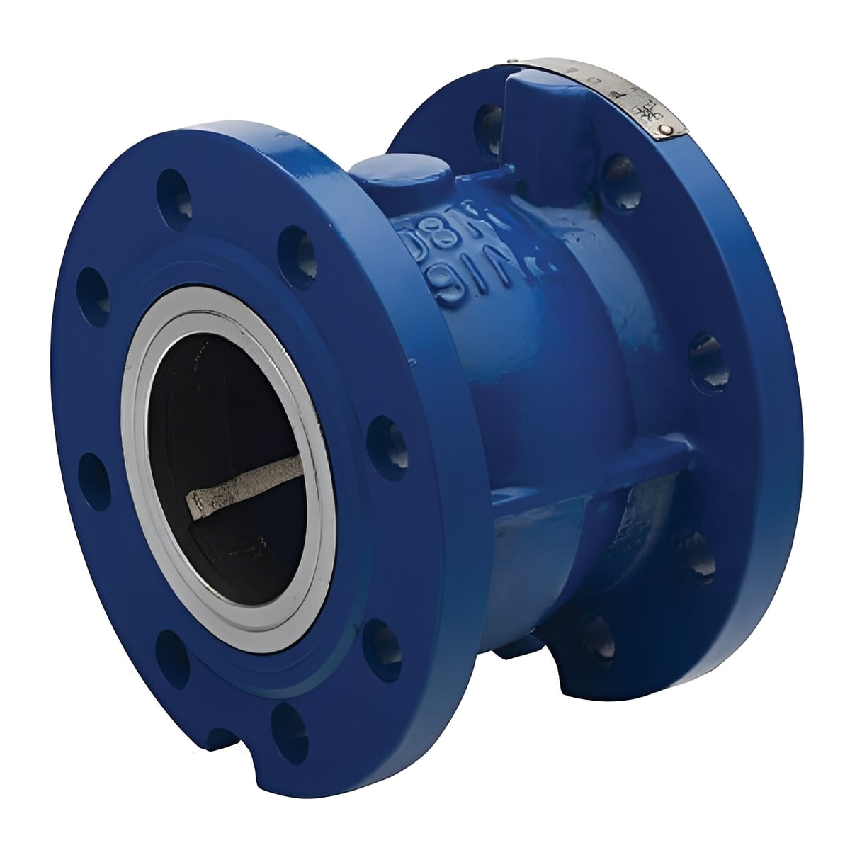 Axial Disc Check Valve PN16 Cast Iron - Flanged, showcasing a blue flanged design and robust construction.