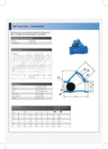Ball Check Valve - PN10 BSPP Female Threaded NBR Seal technical specifications and details