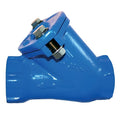 Ball Check Valve - PN10 BSPP Female Threaded NBR Seal in blue with threaded connections and bolts.