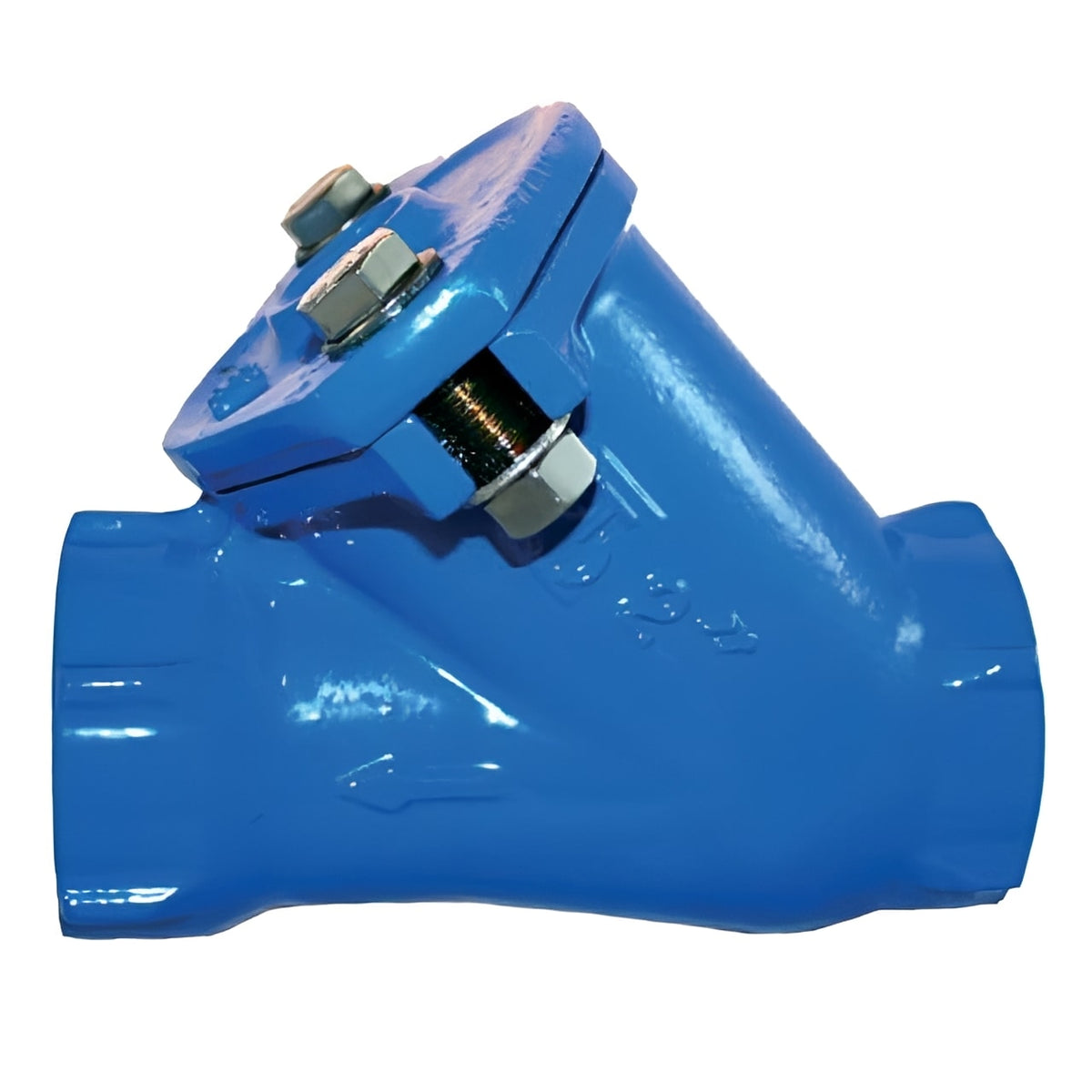 Ball Check Valve - PN10 BSPP Female Threaded NBR Seal in blue with threaded connections and bolts.