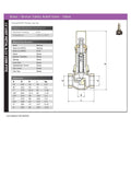 Brass Inline Safety Relief Valve - PTFE Seat BSPP PN16 technical specifications and illustration.