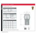 Brass Foot Valve with Strainer - Screwed BSPP PN10 Water Valve specifications and dimensions