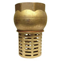 Brass Foot Valve with Strainer - Screwed BSPP PN10 Water Valve for efficient water suction systems.