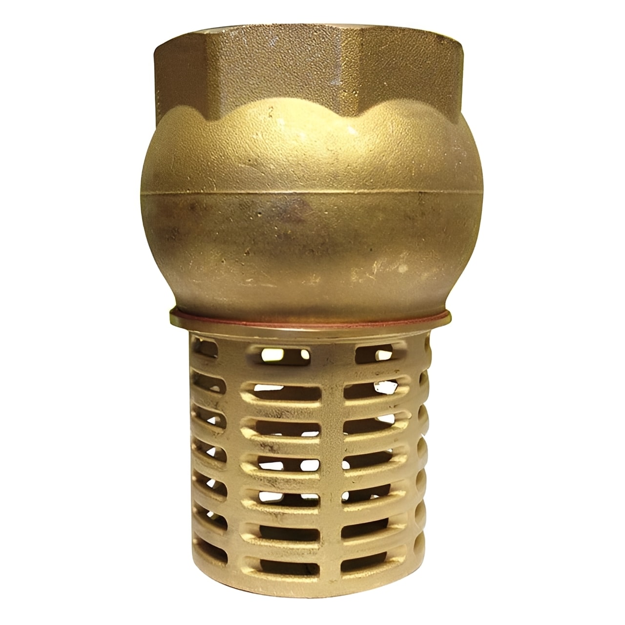 Brass Foot Valve with Strainer - Screwed BSPP PN10 Water Valve for efficient water suction systems.