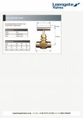 Brass Needle Valve - BSPP Screwed 3000psi Handwheel Flow Control technical specifications and dimensions.
