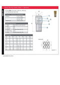 Brass Spring Check Valve with Strainer - BSPP PN16 PN10 product specifications and dimensions.
