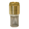 Brass Spring Check Valve with Strainer - BSPP PN16 PN10 featuring durable brass body and integrated mesh strainer.