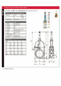 Brass Vacuum Tanker Gate Valve - Agri Square Flanged specifications and features overview.