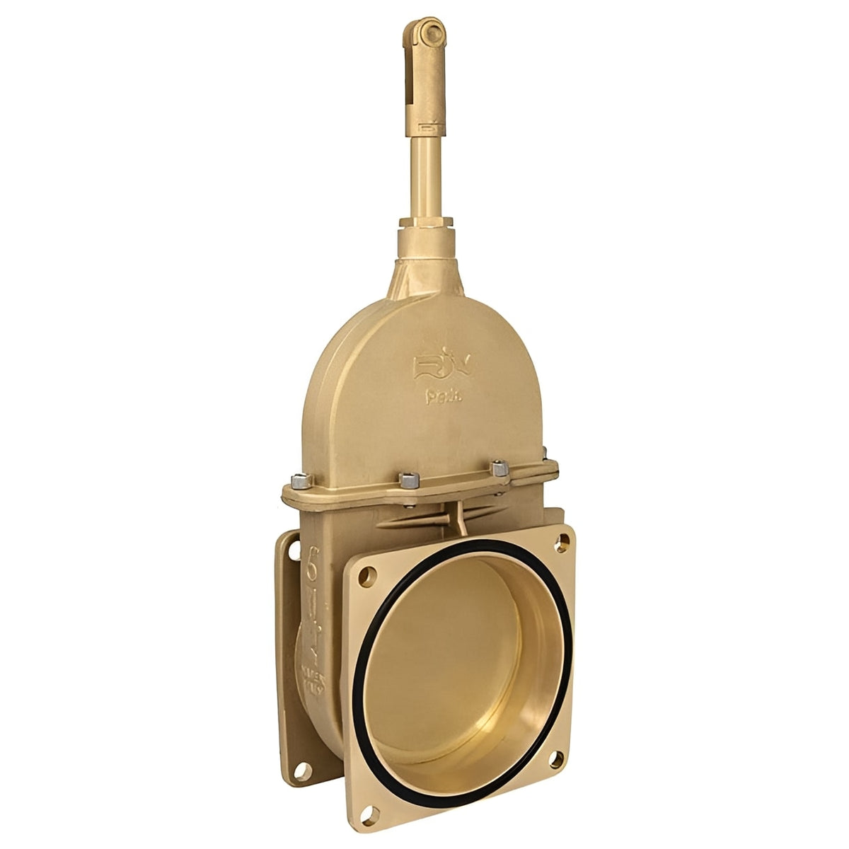 Brass Vacuum Tanker Gate Valve - Agri Square Flanged for agricultural vacuum tanker systems.