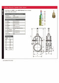 Agri Brass Vacuum Tanker Gate Valve - Square Flanged 4 Bar specification sheet with dimensions and features.