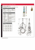 Brass Vacuum Tanker Gate Valve - Agri Square Flange x BSP Thread technical specifications and dimensions chart