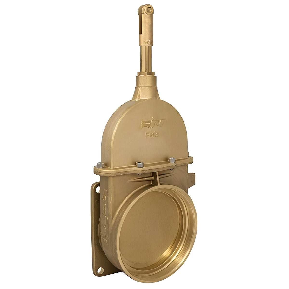 Brass Vacuum Tanker Gate Valve - Agri Square Flange x BSP Thread image showcasing robust agricultural waste management solution.
