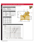 Brass Y-Type Check Valve - BSPP Threaded PN35/PN25 specifications and dimensions chart.