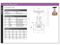Bronze Globe Valve - PN16 Screwed BSPP with Handwheel specifications and dimensions chart.