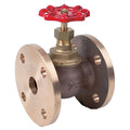 Bronze Globe Valve - Flanged PN16 SDNR Non-Return Valve for precise flow regulation and backflow prevention.