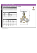 Bronze Globe Valve PN25 - Screwed BSPP Handwheel Operated detailed specifications and diagram.