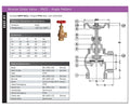 Bronze Globe Valve PN25 Angle Pattern Screwed BSPP with specifications and diagram details for piping systems.