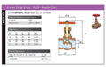 Bronze Globe Valve PN25 Needle Disc - Screwed BSPP product specifications and dimensions chart.