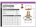 Bronze Globe Valve PN32 BS21 Screwed BSPP - Handwheel Operated technical specifications and details.
