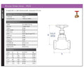 Bronze Globe Valve PN32 BS5154 Series B/NM - Screwed BSPT specifications and diagram.