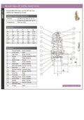 Bronze High-Lift Safety Relief Valve - BSPP Bronze & PTFE technical specifications and detailed diagram.