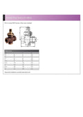 Bronze 2-Way Plug Cock Valve with Gland - PN10 BSPP Screwed specifications and image.