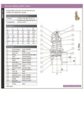 Bronze Safety Relief Valve with Test Lever - PN25 PTFE Seat specifications and diagram for overpressure protection.