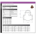 Bronze Swing Check Valve - PN25 BSPT Threaded PN25 specifications chart with dimensions and material details.
