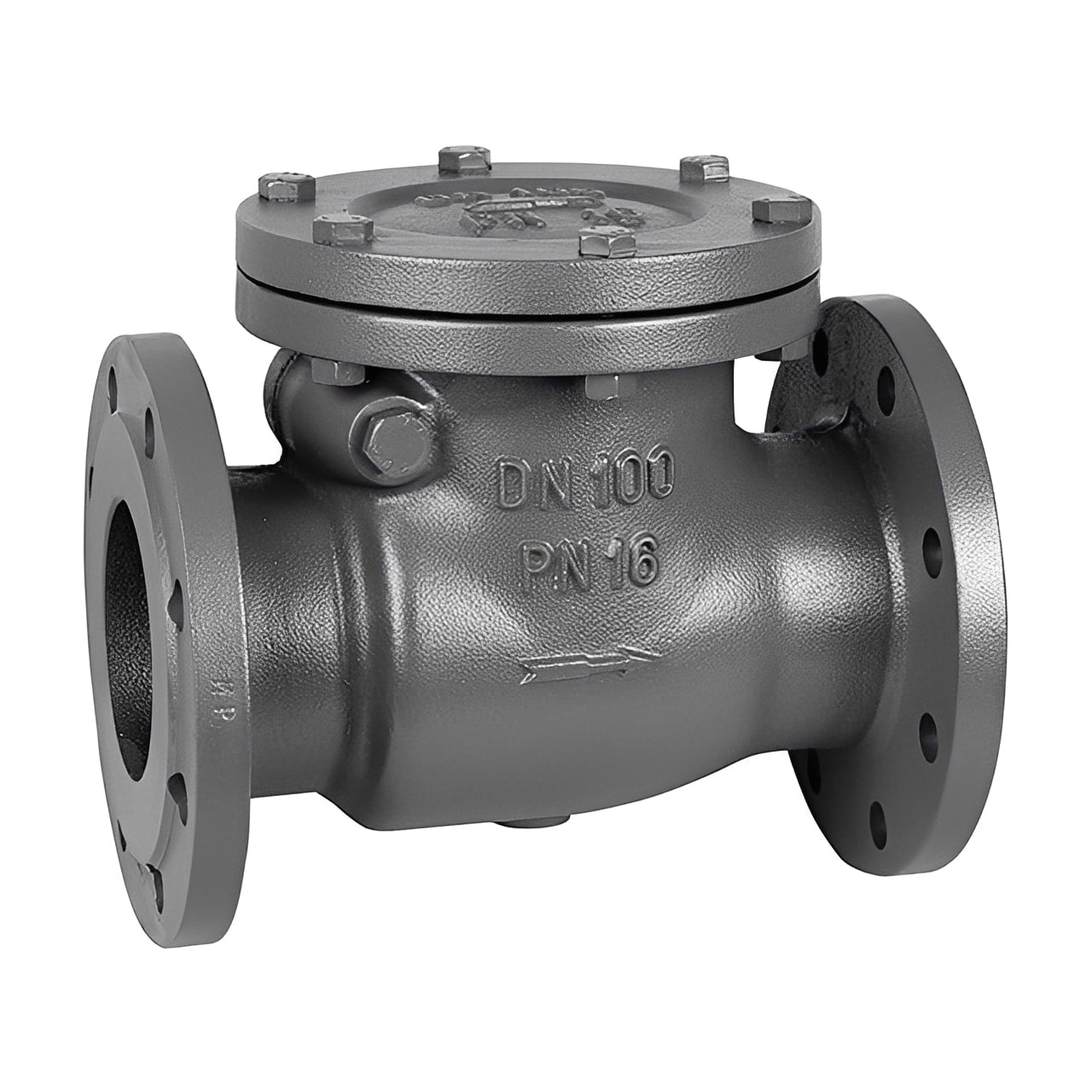 Cast Iron Flanged PN16 Check Valve with flanges and DN 100 specifications for reliable flow control.