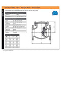 Cast Iron Check Valve - Flanged PN16 Bronze Seat specifications and dimensions chart.