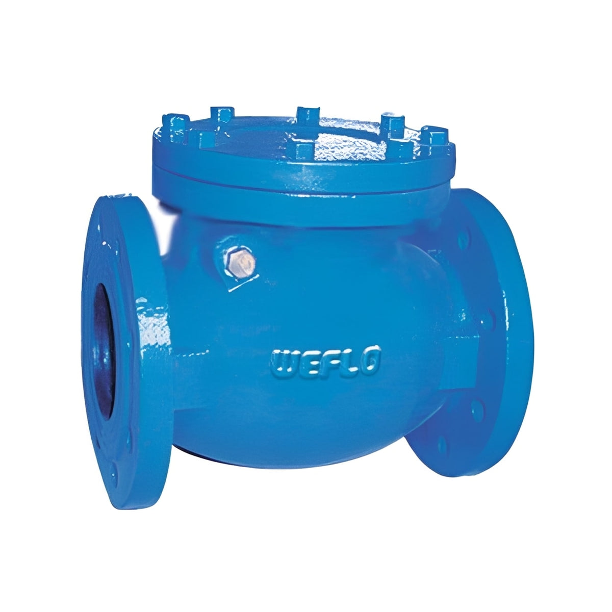 Cast Iron Check Valve - Flanged PN16 Bronze Seat for preventing backflow in piping systems.