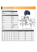 Cast Iron Flanged Check Valve PN16 - EPDM Seat specifications and technical details.