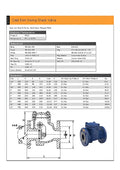 Cast Iron Flanged PN16 Check Valve with Stainless Steel Seat specifications and detailed features.