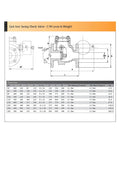 Cast Iron Flanged PN16 Check Valve with Lever & Weight technical diagram and specifications.