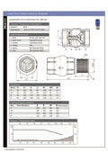 Cast Iron Check Valve & Strainer - NBR Seat PN16 BSPP specifications and dimensions overview.