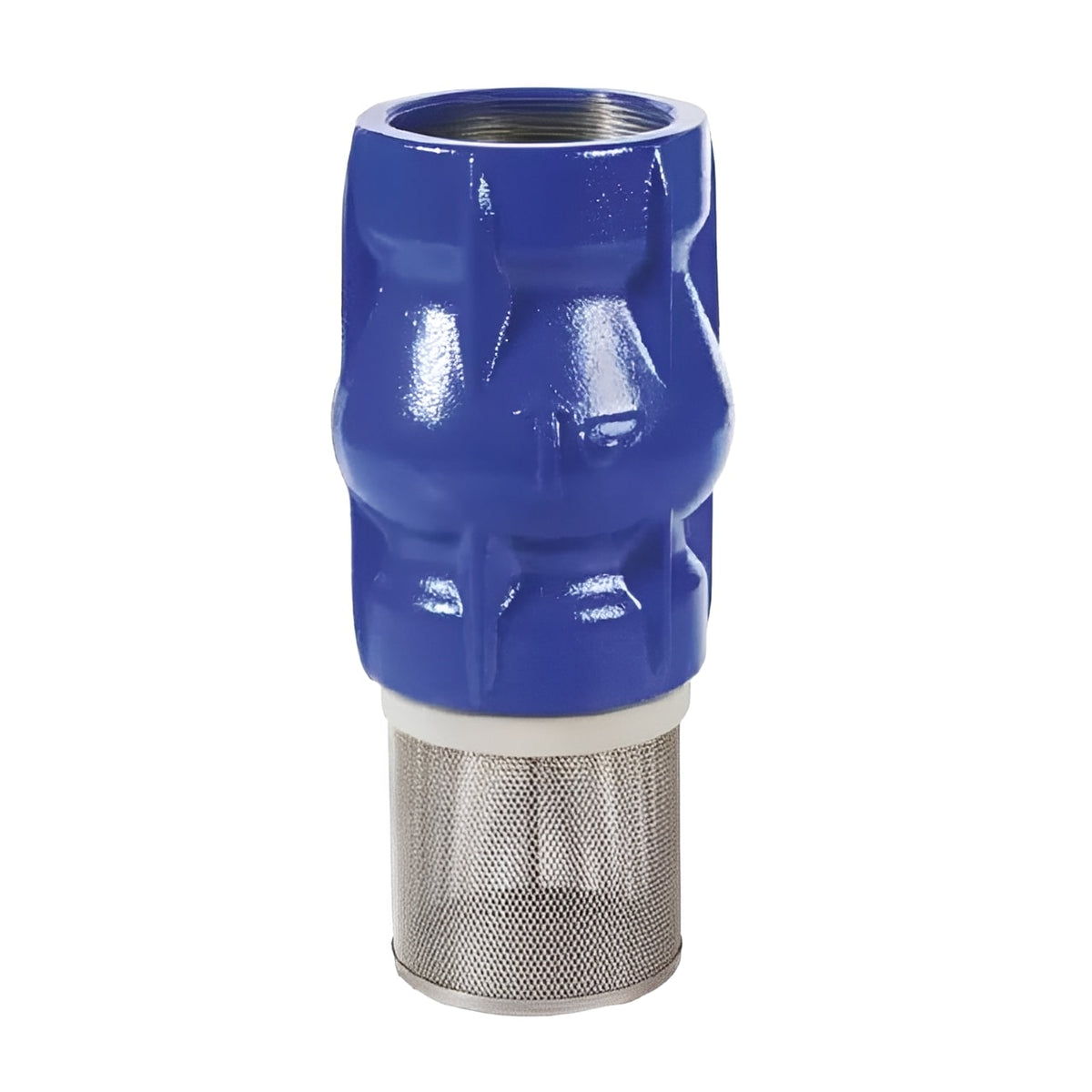 Cast Iron Check Valve & Strainer - NBR Seat PN16 BSPP with blue coating and mesh filter.