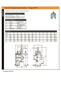 Cast Iron Duplex Basket Strainer Flanged PN16 - 304 Stainless Steel specifications and technical details.