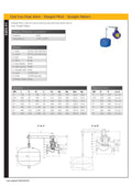 Cast Iron Float Valve - Flanged PN16 Straight Pattern specifications and diagrams for liquid level control application.