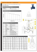 Cast Iron Globe Valve - Flanged PN16 Stainless Steel Trim specifications and technical details.