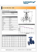 Cast Iron SDNR Globe Valve - Flanged PN16 specifications and diagram, showcasing durability and performance features.