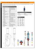 Cast Iron Knife Gate Valve - ANSI 150 & AGRI Pneumatic Actuator specifications with diagrams and details.
