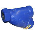 Cast Iron Y Strainer - PN16 Screwed BSPP 200°C showcasing its durable blue cast iron body and threaded connection.