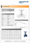 Cast Steel Flanged Globe Valve PN25/40 - High Temperature specifications and details