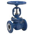 Cast Steel SDNR Globe Valve - Flanged PN25/40 for precise flow control and backflow prevention.