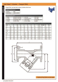 Cast Steel Y Strainer - Flanged PN40 Stainless Steel Screen specifications and details