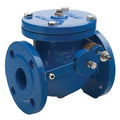 Ductile Iron PN16 Check Valve with Lever & Weight - WRAS Approved in blue finish for potable water systems.