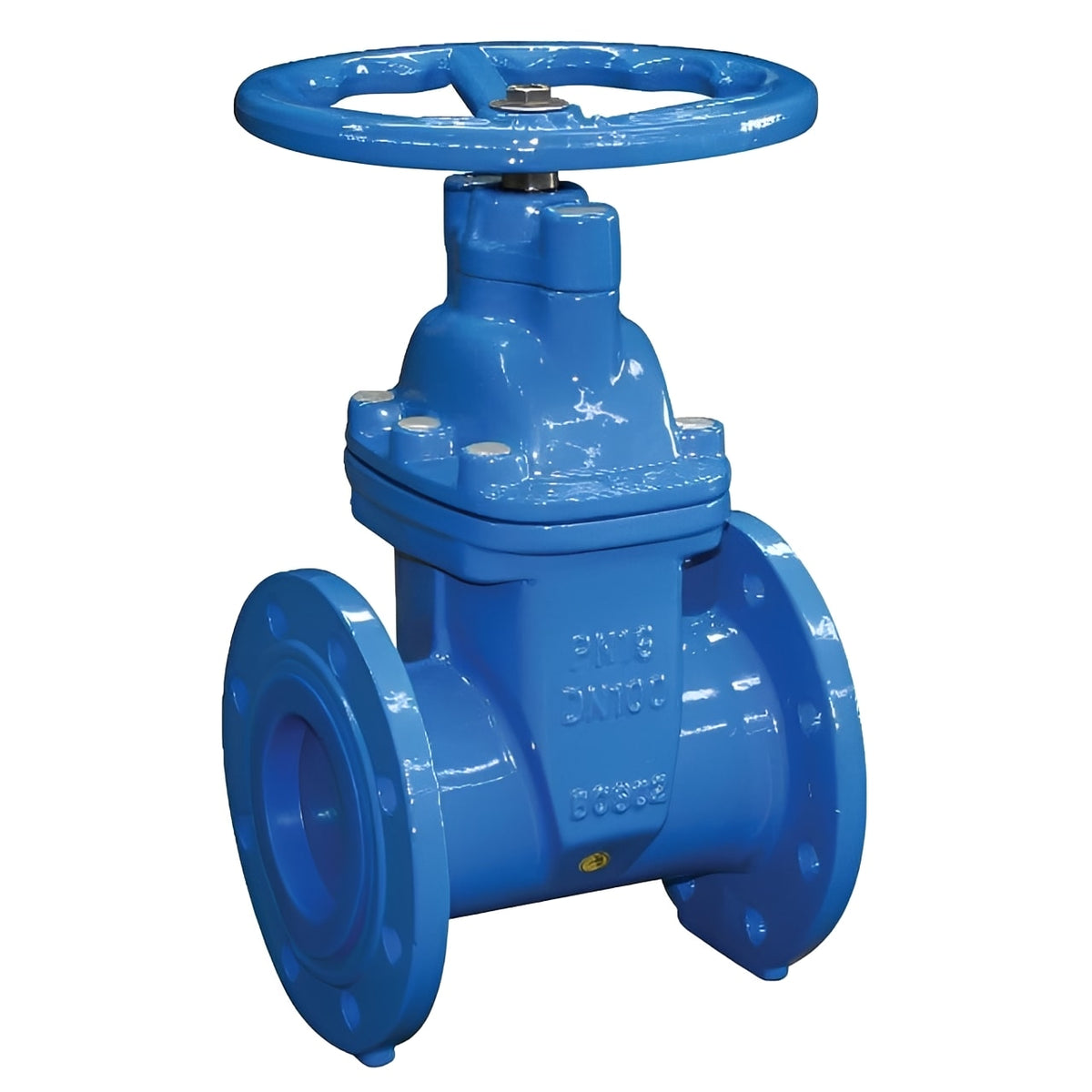 Ductile Iron Gate Valve - Flanged PN16 Soft-Seated EPDM, durable blue valve for water and HVAC systems.
