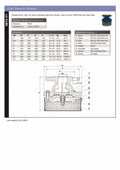 Foot Valve and Strainer - Flanged PN10 Cast Iron specifications sheet with detailed design and materials.